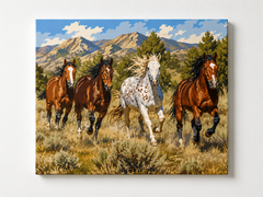 Wild Horses