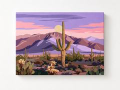 Cactus Valley