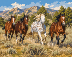 Wild Horses