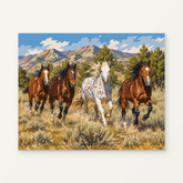 Wild Horses Paint by Numbers Kit — original artwork displayed as a canvas on a warm off-white wall.