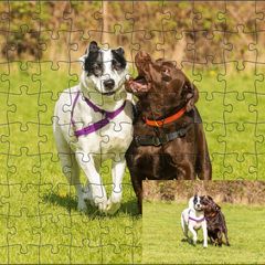 🧩 Customized Jigsaw Puzzles (110, 252, 520, 1014 Pieces)