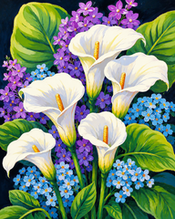 Graceful Calla Blooms