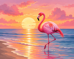 Flamingo Sunset