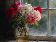 Morning Roses