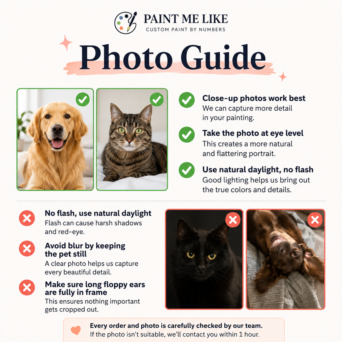 Custom Pet Portraits from Your Favorite Photo | Paint Me Like